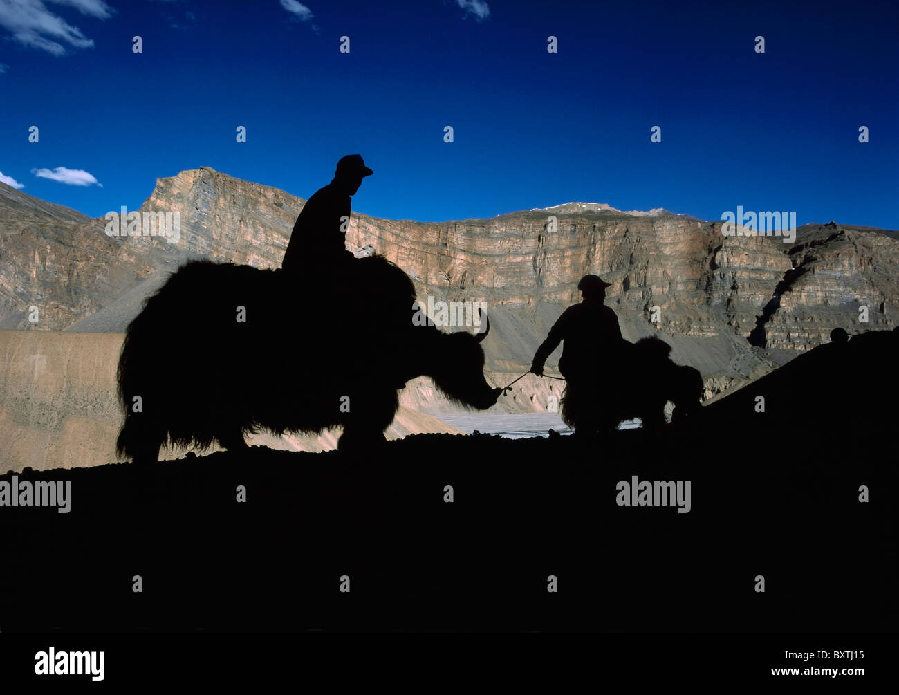 Silhouette der Yak-Hirten Stockfoto