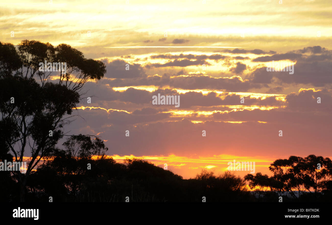Sonnenuntergang am Merredin Wa Australien Stockfoto