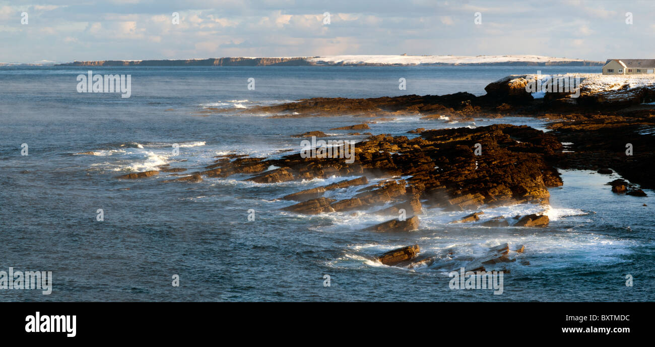 Felsen auf der Nord-Küste Schottlands in der Nähe von Harrow Hafen, Scarfskerry, Caithness, Schottland Stockfoto