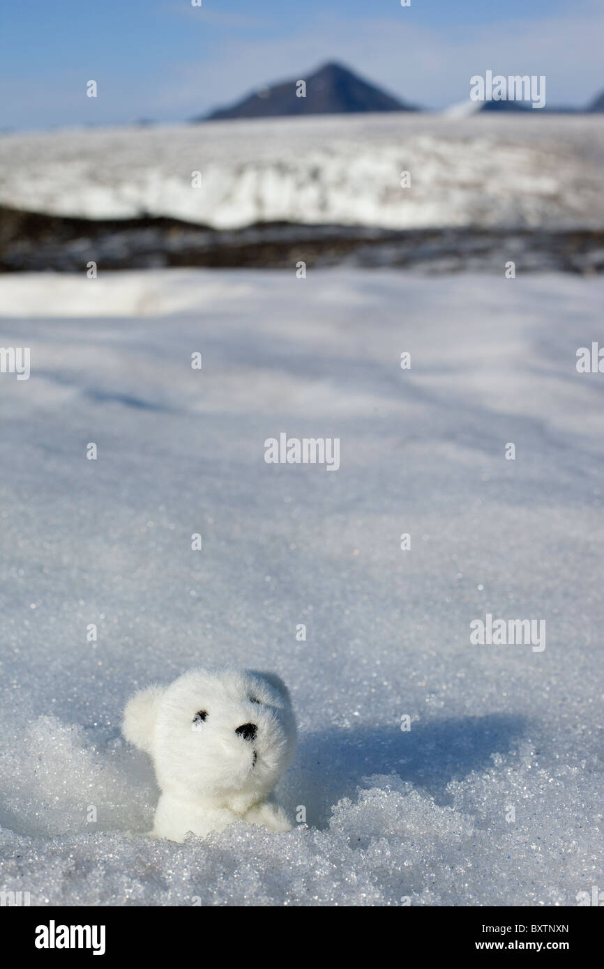 POLAR BEAR Spielzeug so dass Schnee Loch, vor Ort in arktischen Svalbard Stockfoto
