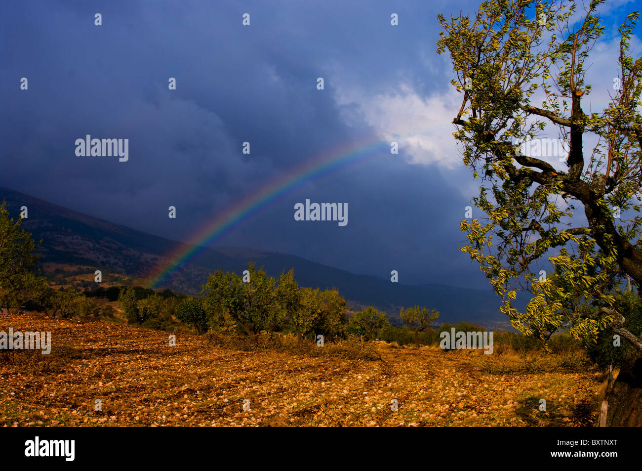 Italien, Apulien, Gargano Landschaft Stockfoto