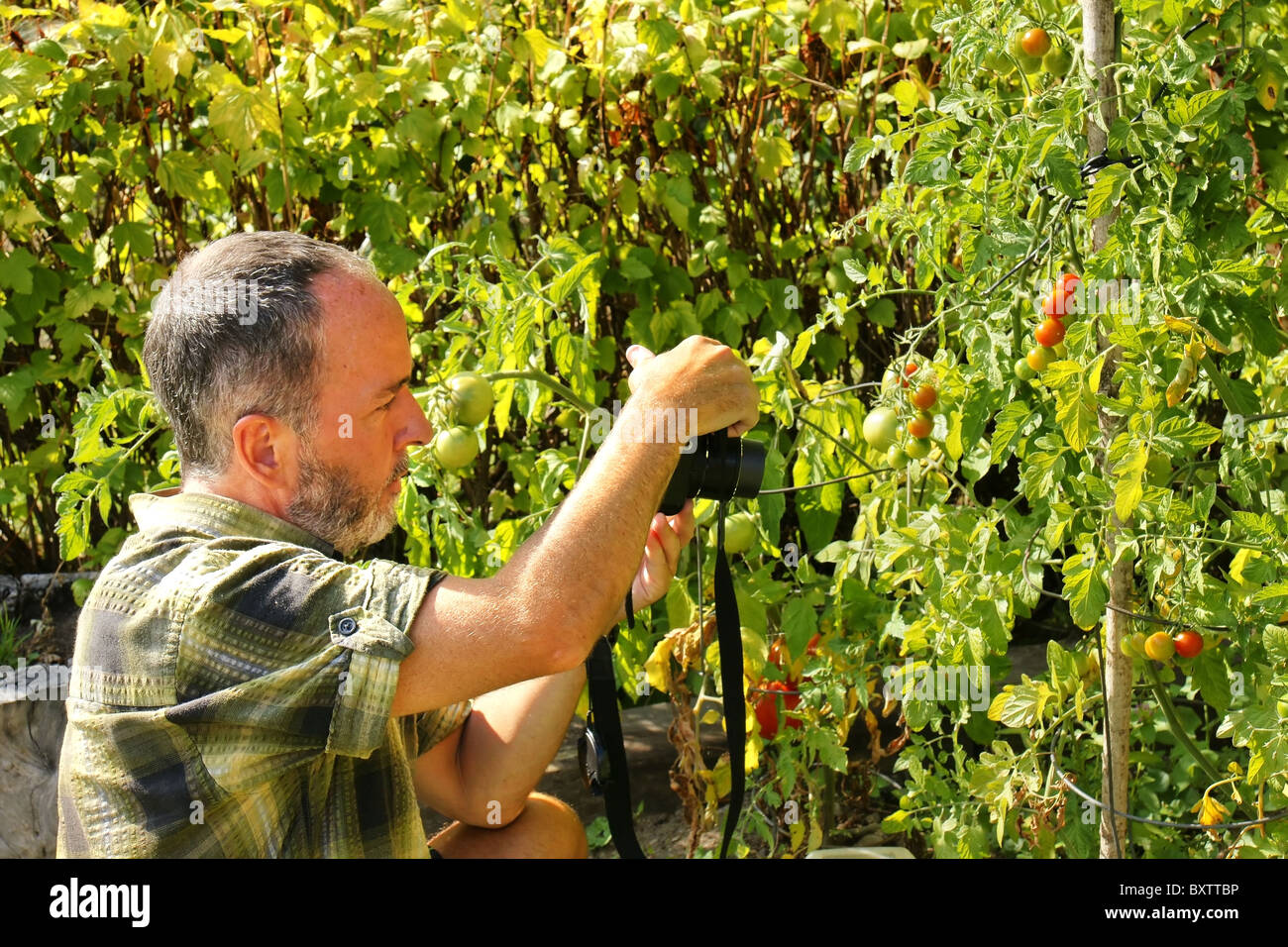 Naturfotograf im Garten an einem schönen Tag Stockfoto