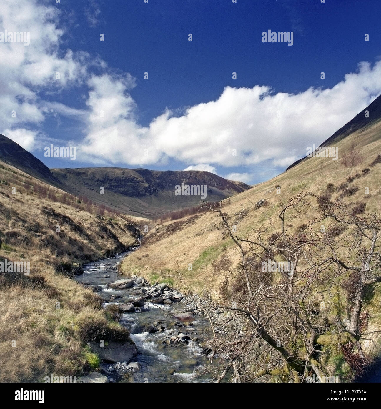 Glen und Carrifran Carrifran Brennen, Scottish Southern Uplands, Dumfries und Galloway, Schottland, Großbritannien Stockfoto