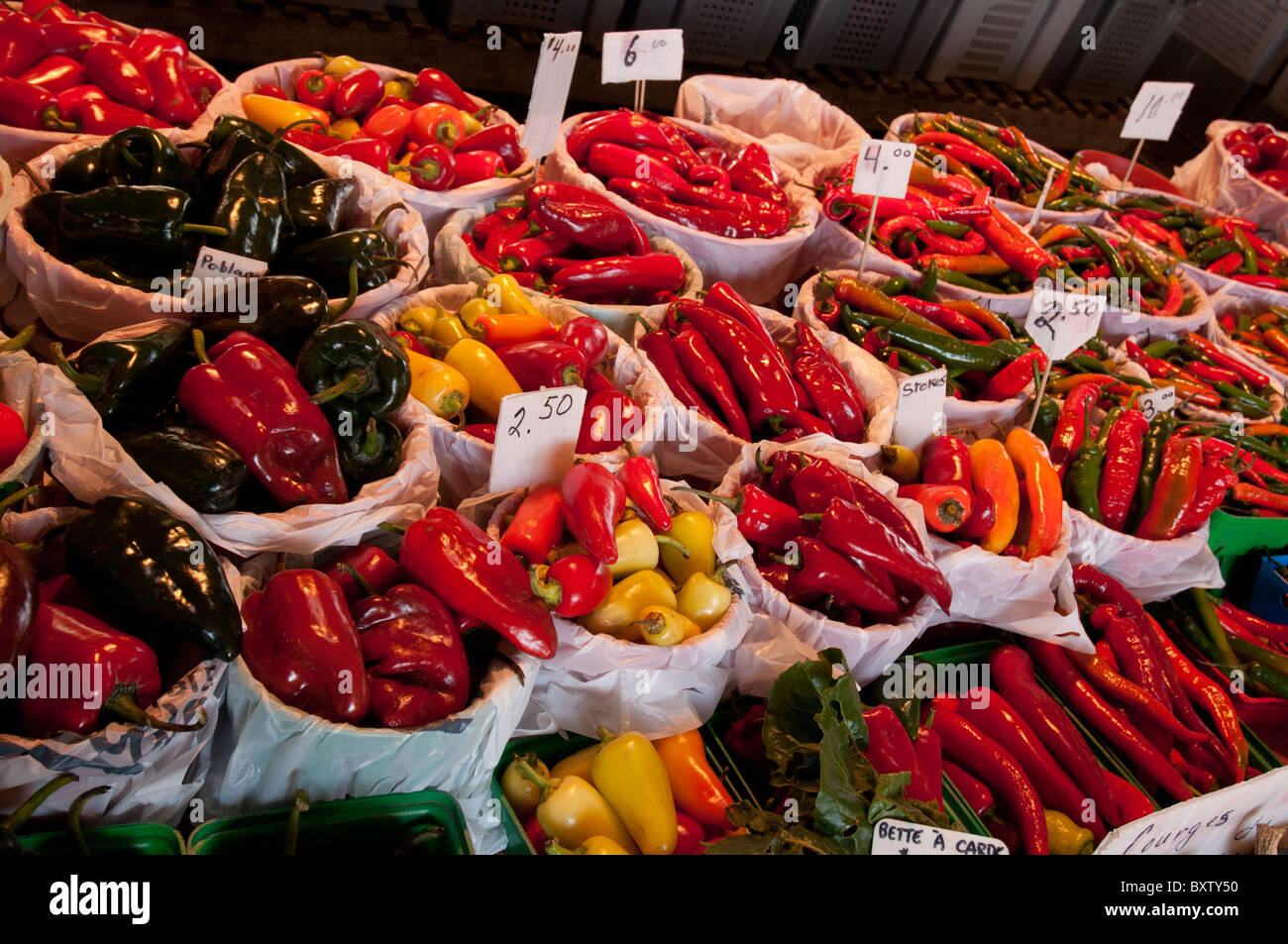 Paprika Jean Talon Market Montreal Stockfoto