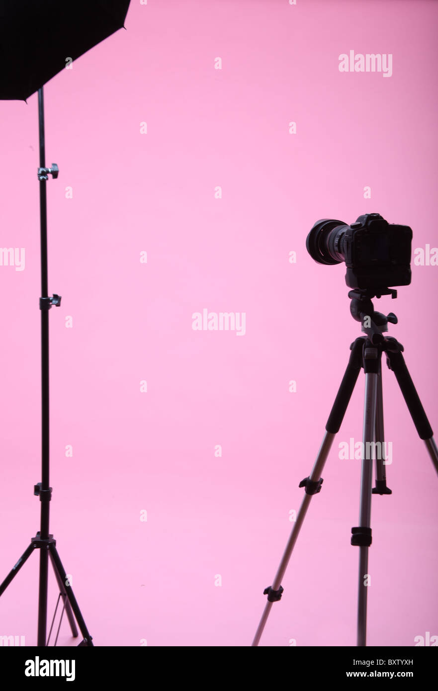 Rosa oder Nelke Kulisse in ein Fotostudio mit einer Kamera auf einem Stativ und Licht. Stockfoto
