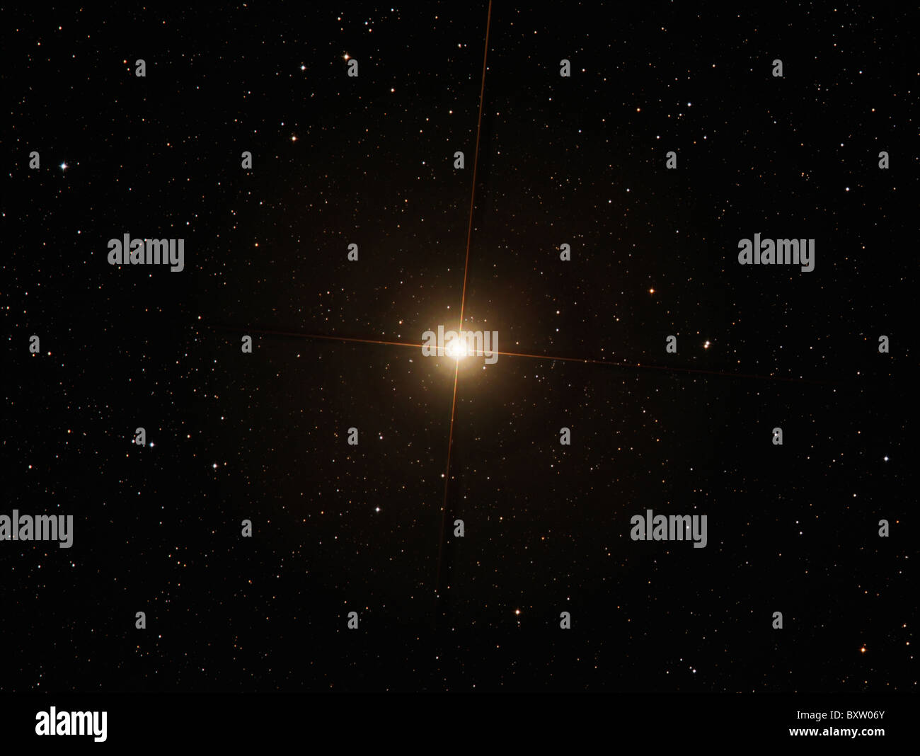Der rote Überriese Beteigeuze ist der neunte hellste Stern am Nachthimmel. Stockfoto