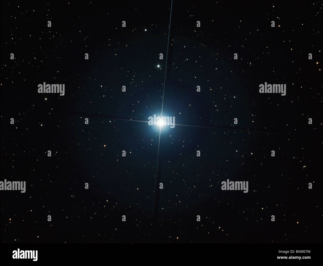 Rigel ist der hellste Stern im Sternbild Orion. Stockfoto