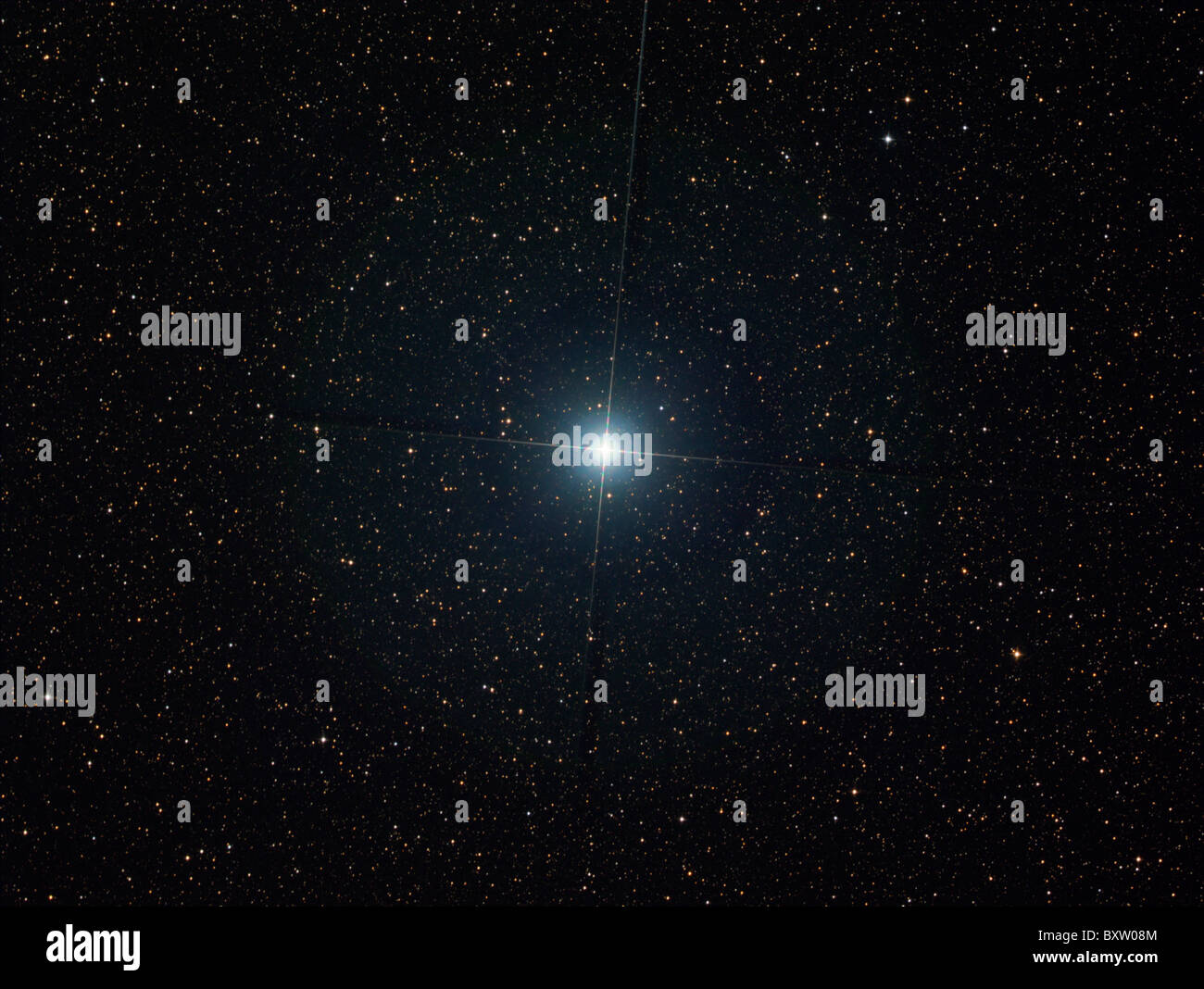 Der helle Stern Altair im Sternbild Aquila. Stockfoto