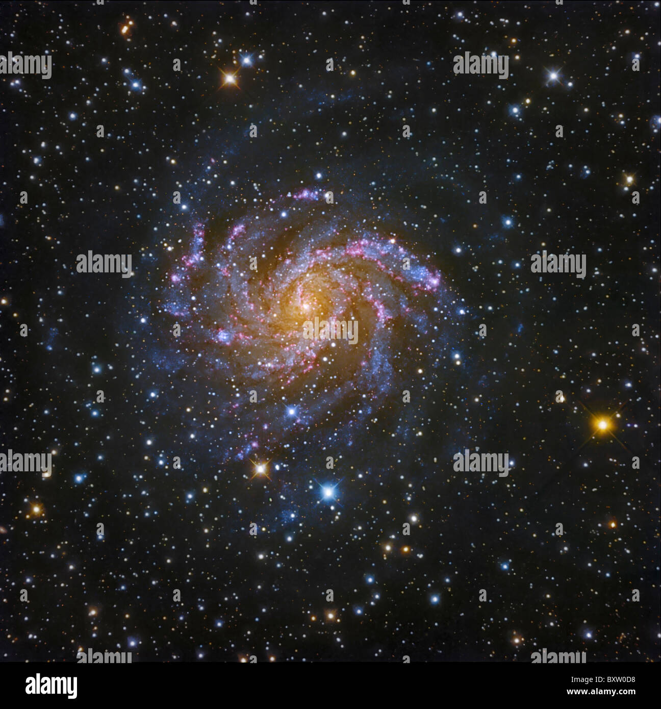 NGC 6946, auch bekannt als die Feuerwerk-Galaxie. Stockfoto