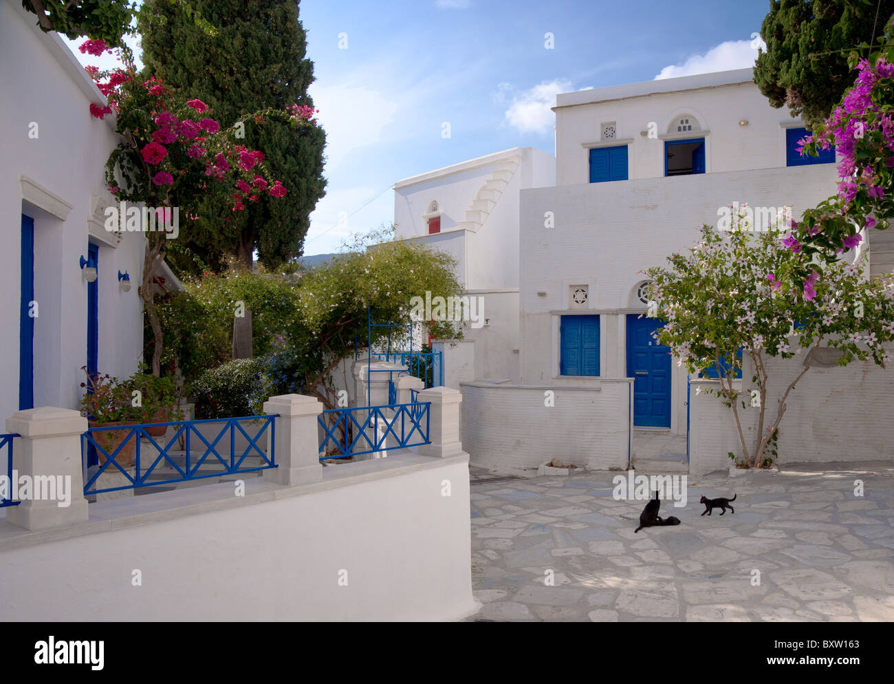 Drei schwarze Katzen spielen auf einem kleinen öffentlichen Platz im Dorf Pyrgos, auf den griechischen Kykladen Insel Tinos. Stockfoto
