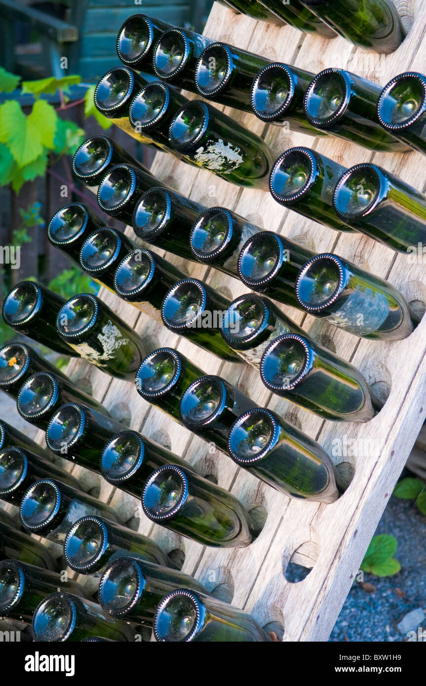 Wein-Rack mit leeren grünen Flaschen auf einem Weingut rütteln Stockfoto