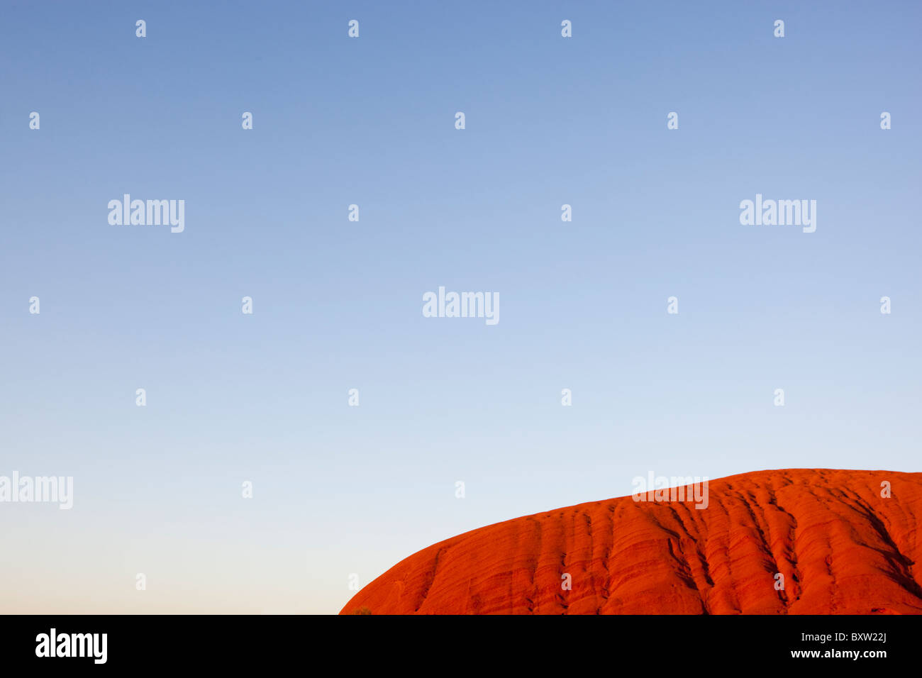 Australien, Northern Territory, Uluru - Kata Tjuta National Park, steigende Sonne leuchten Ayers Rock mit orange Leuchten am Sommermorgen Stockfoto
