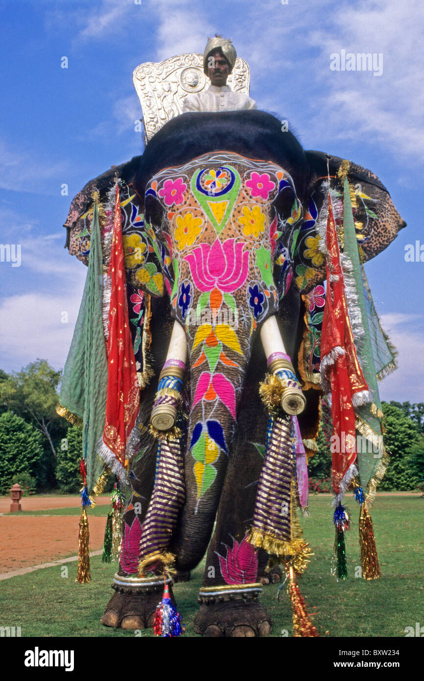 Geschmuckten Elefanten Jaipur Rajasthan Indien Stockfotografie Alamy