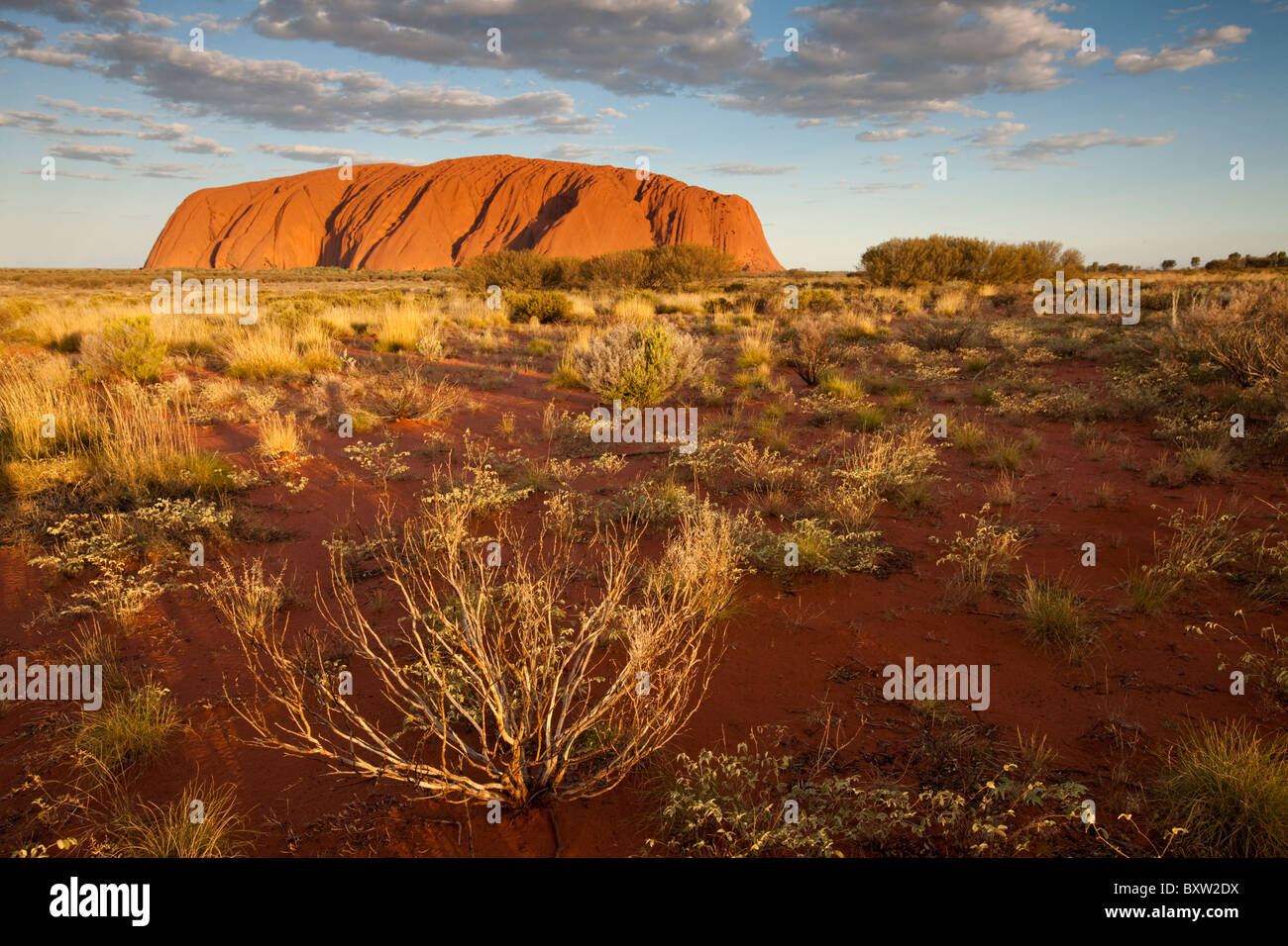 Australien-Northern Territory Uluru - Kata Tjuta National Park untergehenden Sonne leuchtet rote Sandwüste rund um Ayers Rock auf Stockfoto