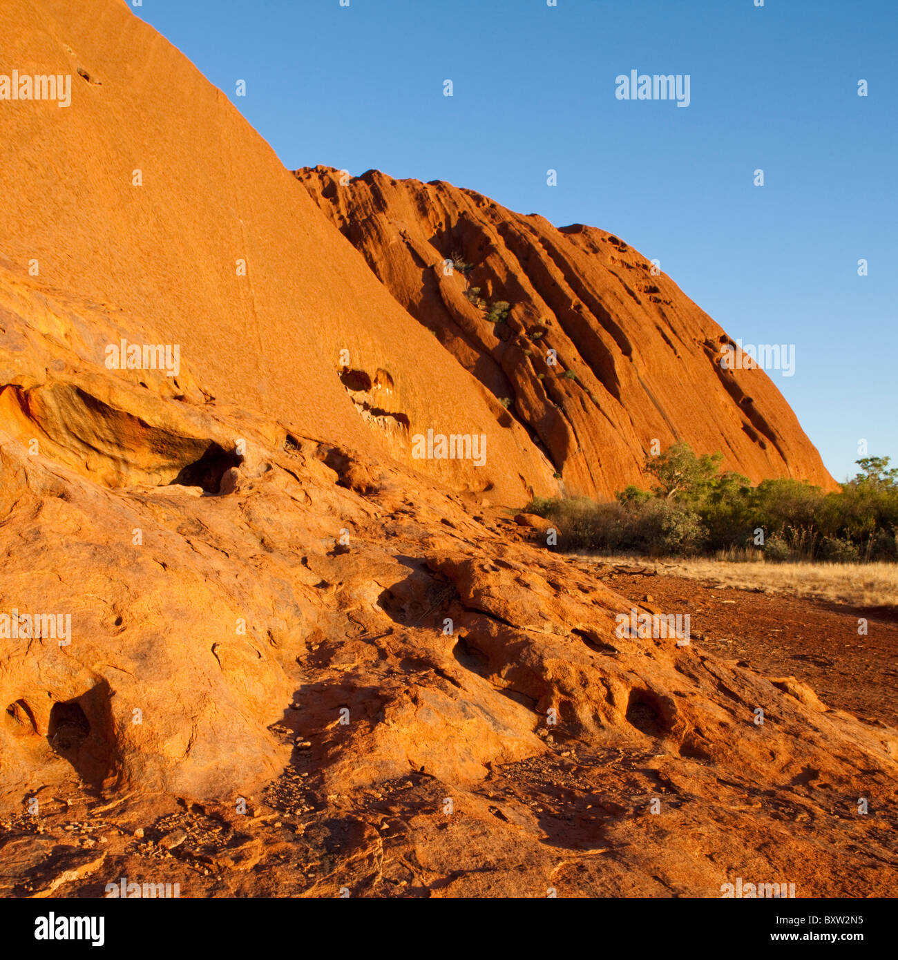 Australien-Northern Territory Uluru - Kata Tjuta National Park untergehenden Sonne leuchtet roten Felsen Flanken des Ayers Rock am Sommerabend Stockfoto