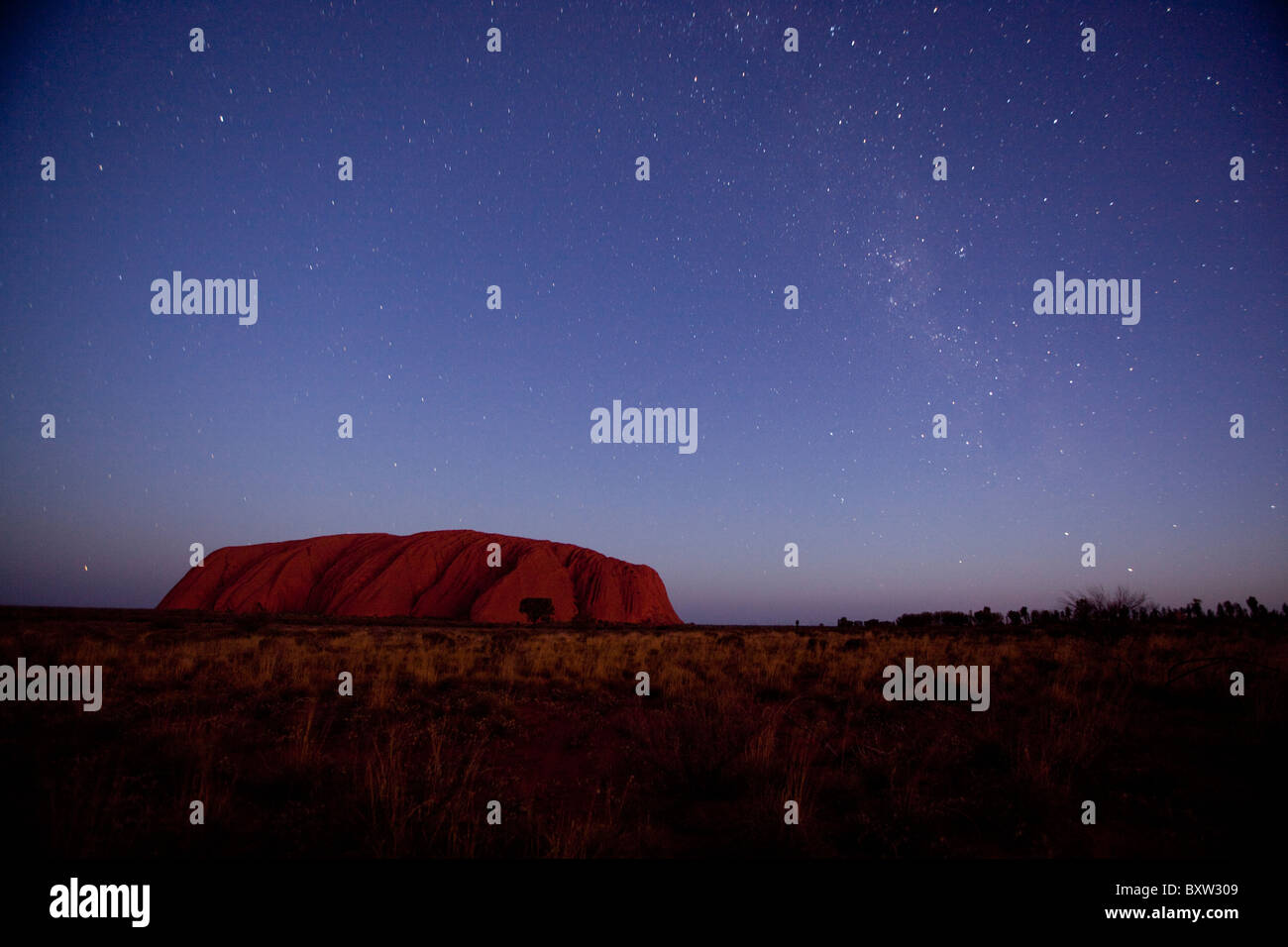 Australien, Northern Territory, Uluru - Kata Tjuta National Park, Sterne Kreis über Ayers Rock in der Abenddämmerung am Sommerabend Stockfoto