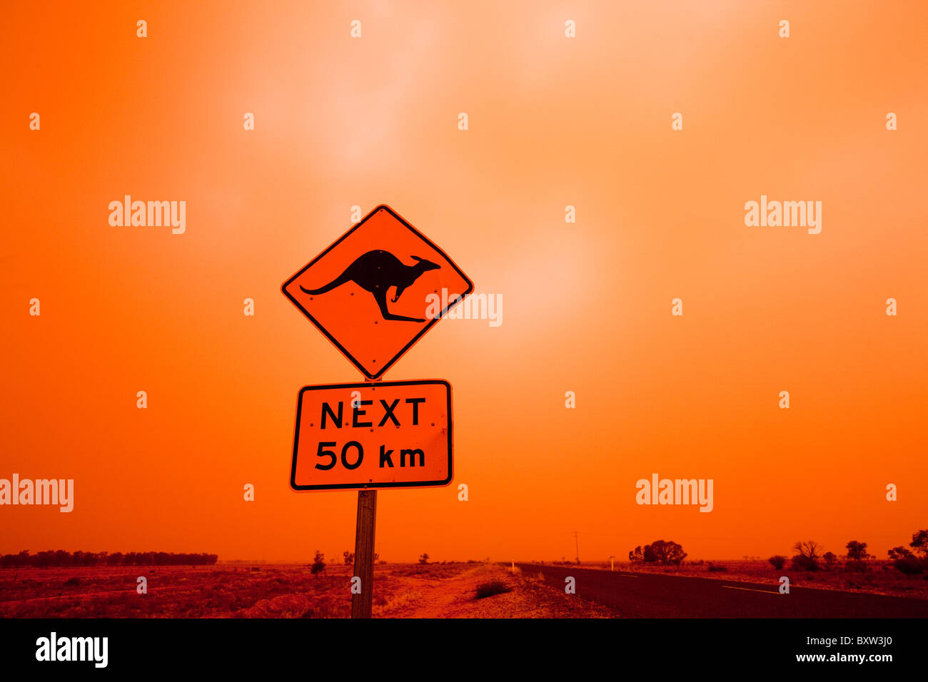 Australien New South Wales Ivanhoe Kangaroo Crossing Straße Warnzeichen im Outback Staubsturm ländlichen Highway auf Sommer Stockfoto