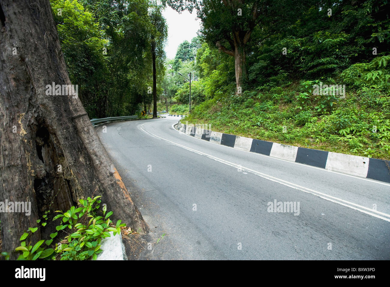 Bergstraße in Penang Island Stockfoto