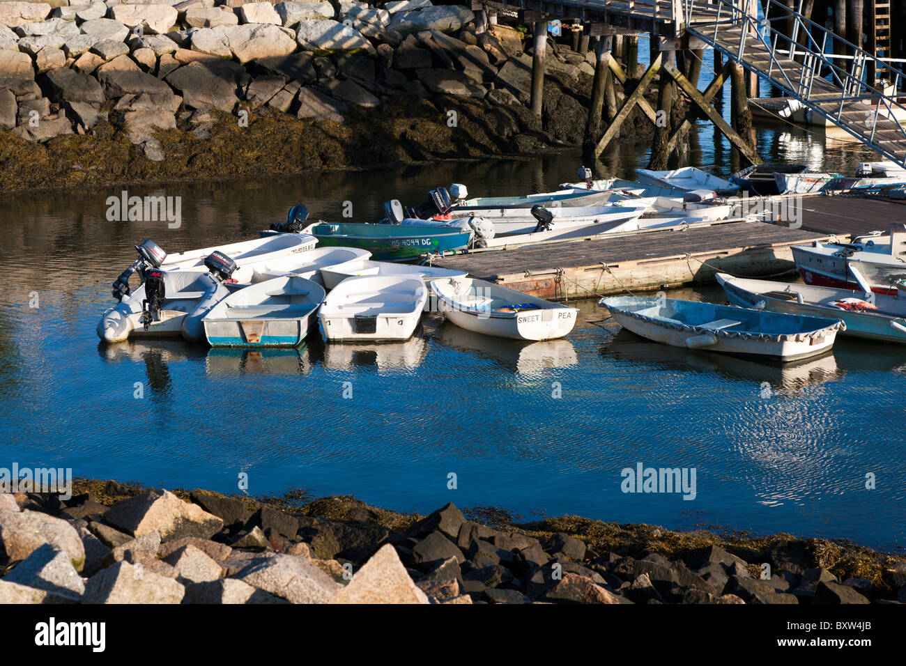 Kleine Boote im Hafen von Plymouth in Plymouth Massachusetts an Schwimmdock gebunden. Stockfoto