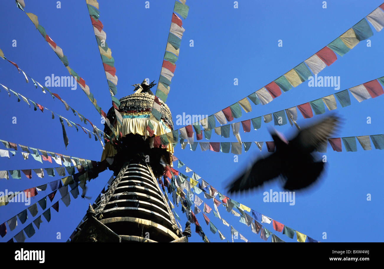 Stupa und Gebetsfahnen Stockfoto
