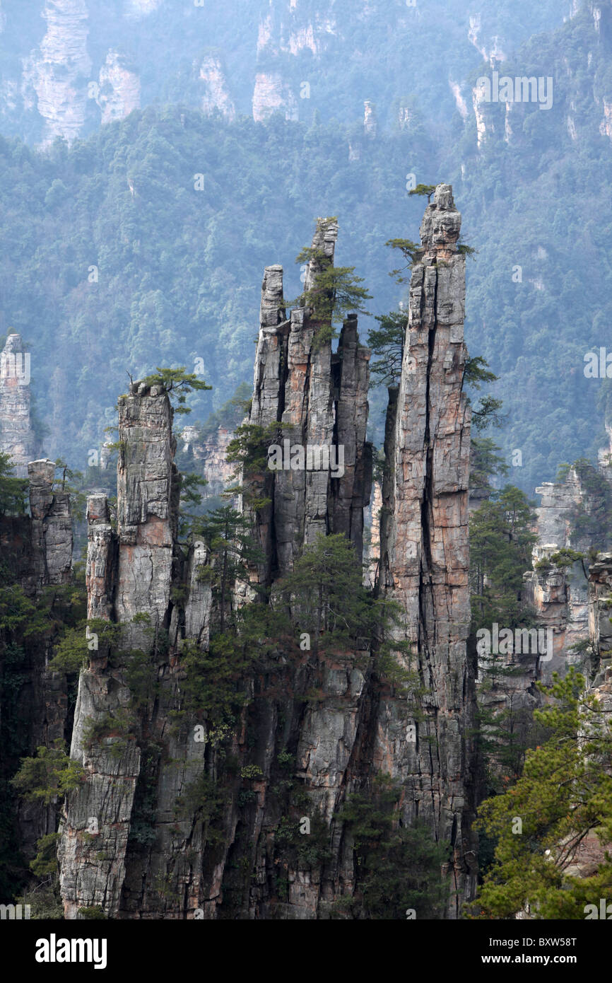 Zhangjiajie National Forest Park, Wulingyuan Scenic Area, China, Provinz Hunan Stockfoto
