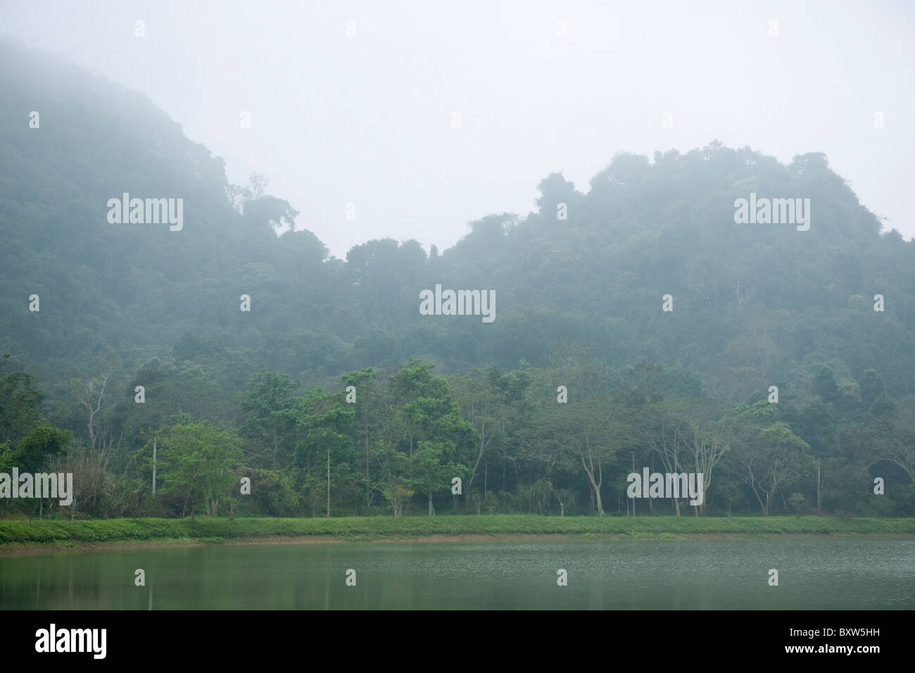 See im Nebel, Cuc Phuong Nationalpark, Ninh Binh, Vietnam Stockfoto
