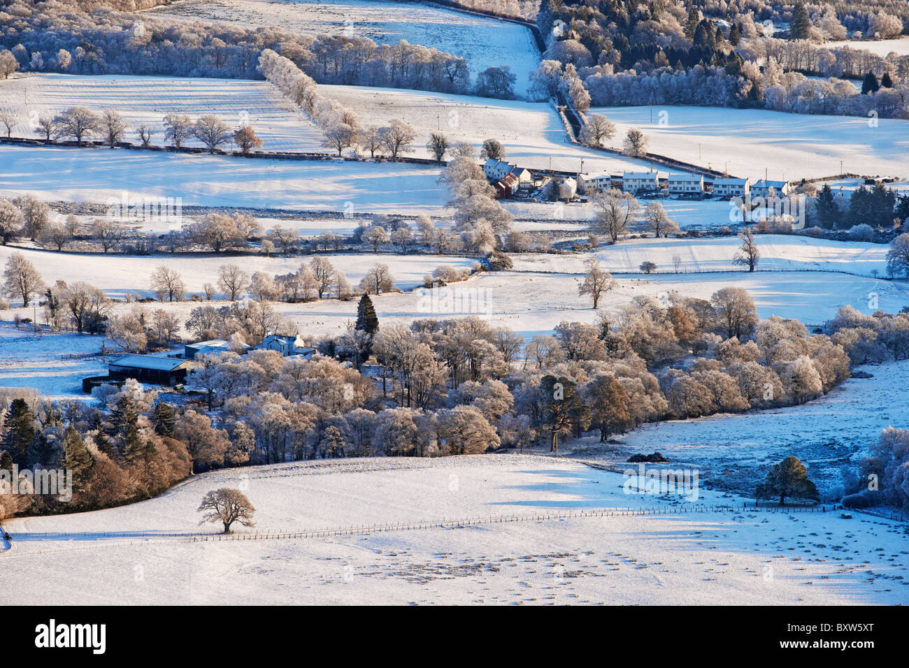 Frost bedeckt Felder und Umland Milton Buchanan, in der Nähe von Drymen, Region Stirling, Schottland, Großbritannien. Stockfoto