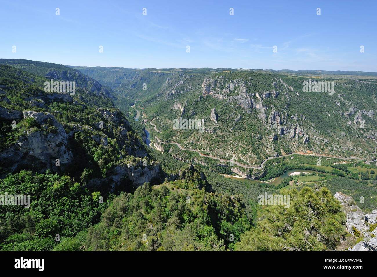 Blick auf das Tal des Flusses Tarn (Gorges du Tarn) von der Spitze des Causse Méjean - Cevennen - Frankreich Stockfoto