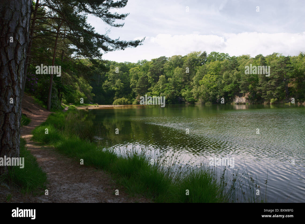 Die blauen Pool, Furzebrook, Nr. Wareham, Dorset, England, Vereinigtes Königreich Stockfoto