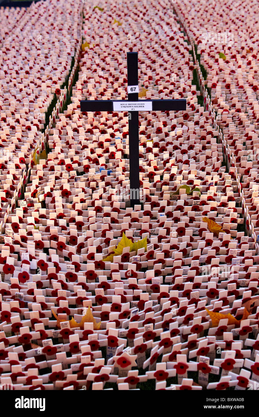 Garten der Erinnerung in der Westminster Abbey Stockfoto