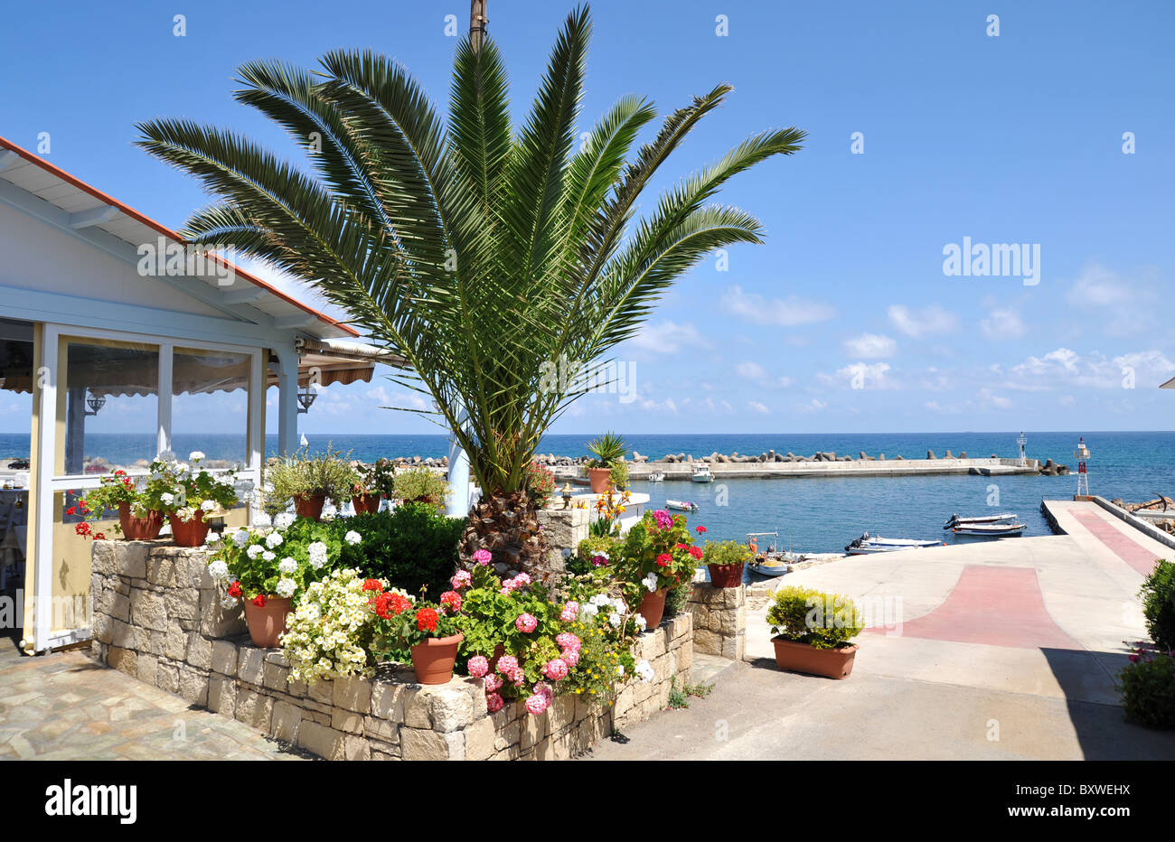 Restaurant mit Blick auf den Hafen von Panormo, Kreta, Griechenland Stockfoto
