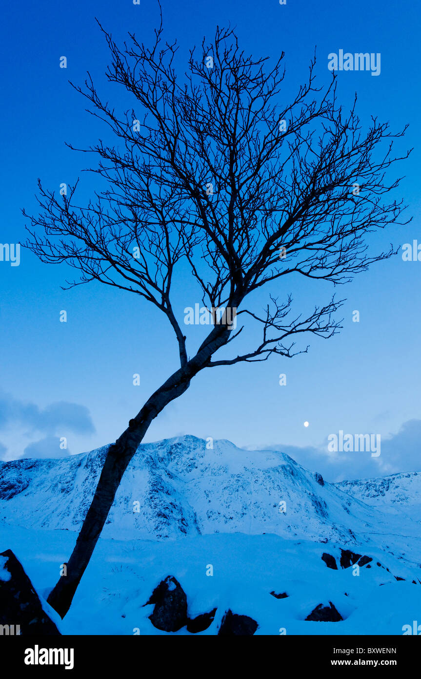Am frühen Morgen Mond über Y Garn Stockfoto