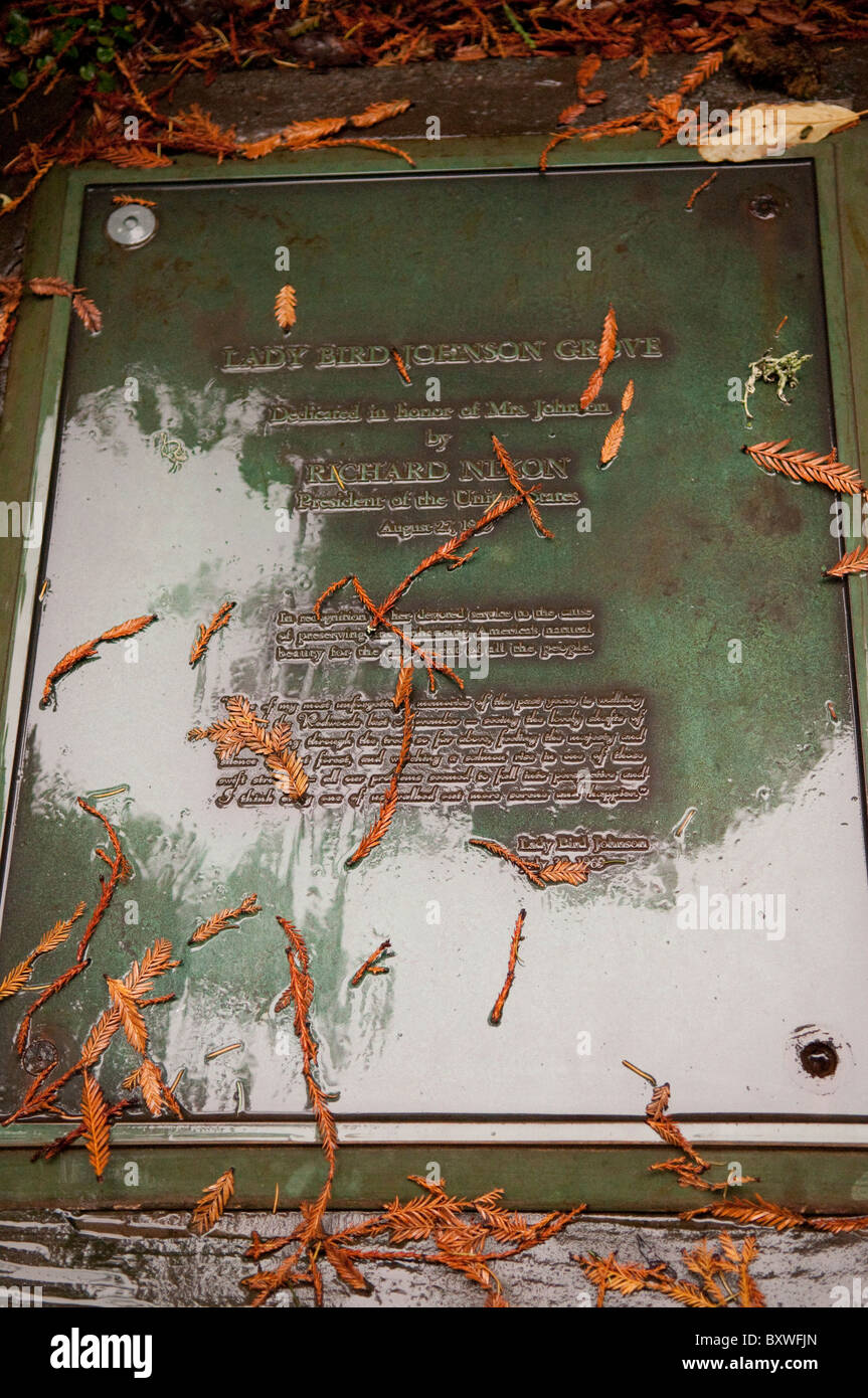 Lady Bird Johnson Grove Trail Stockfoto