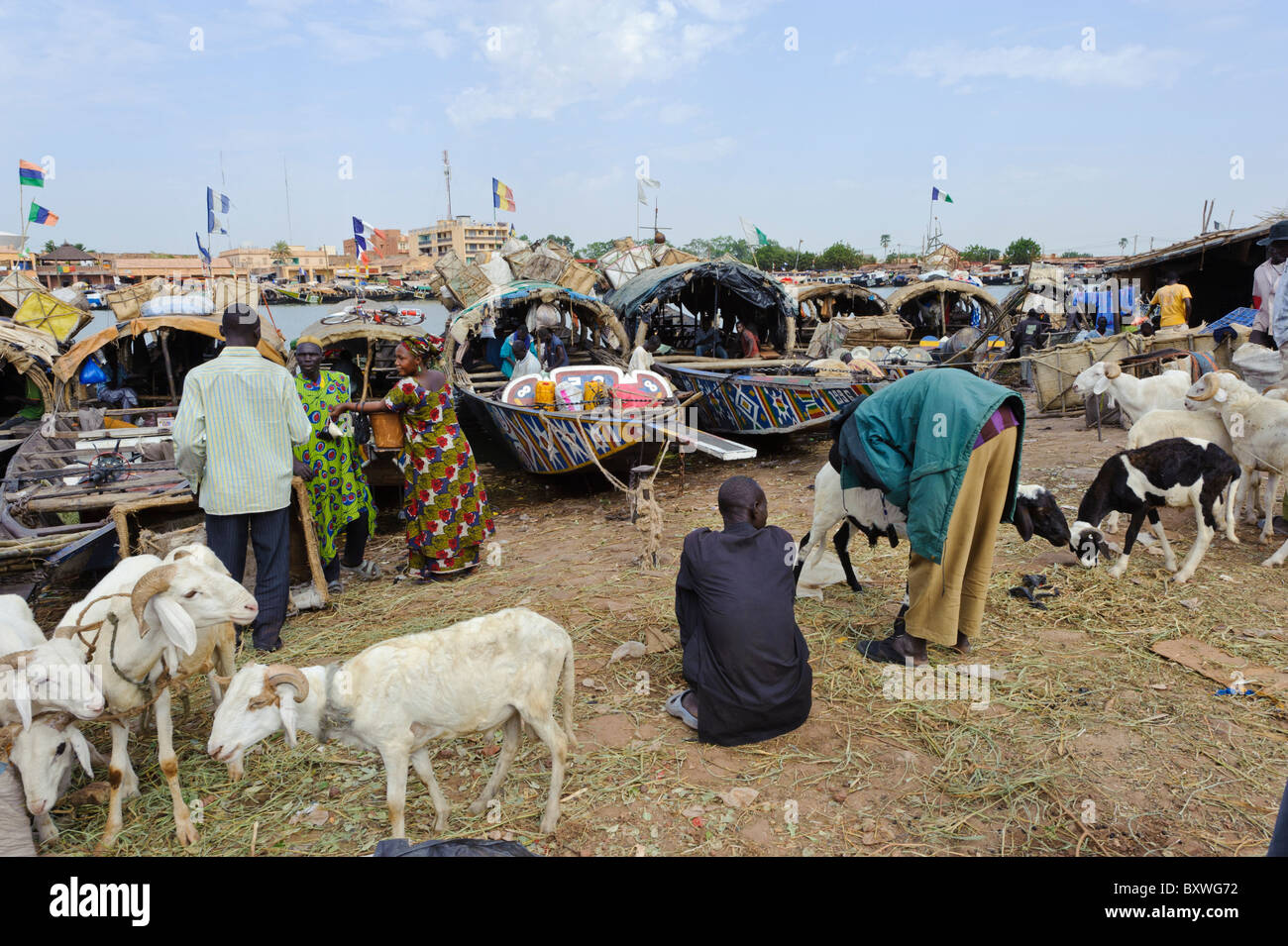 Pirogen, Stelzenhäuser und Schafe im Hafen von Mopti, Mali Stockfoto