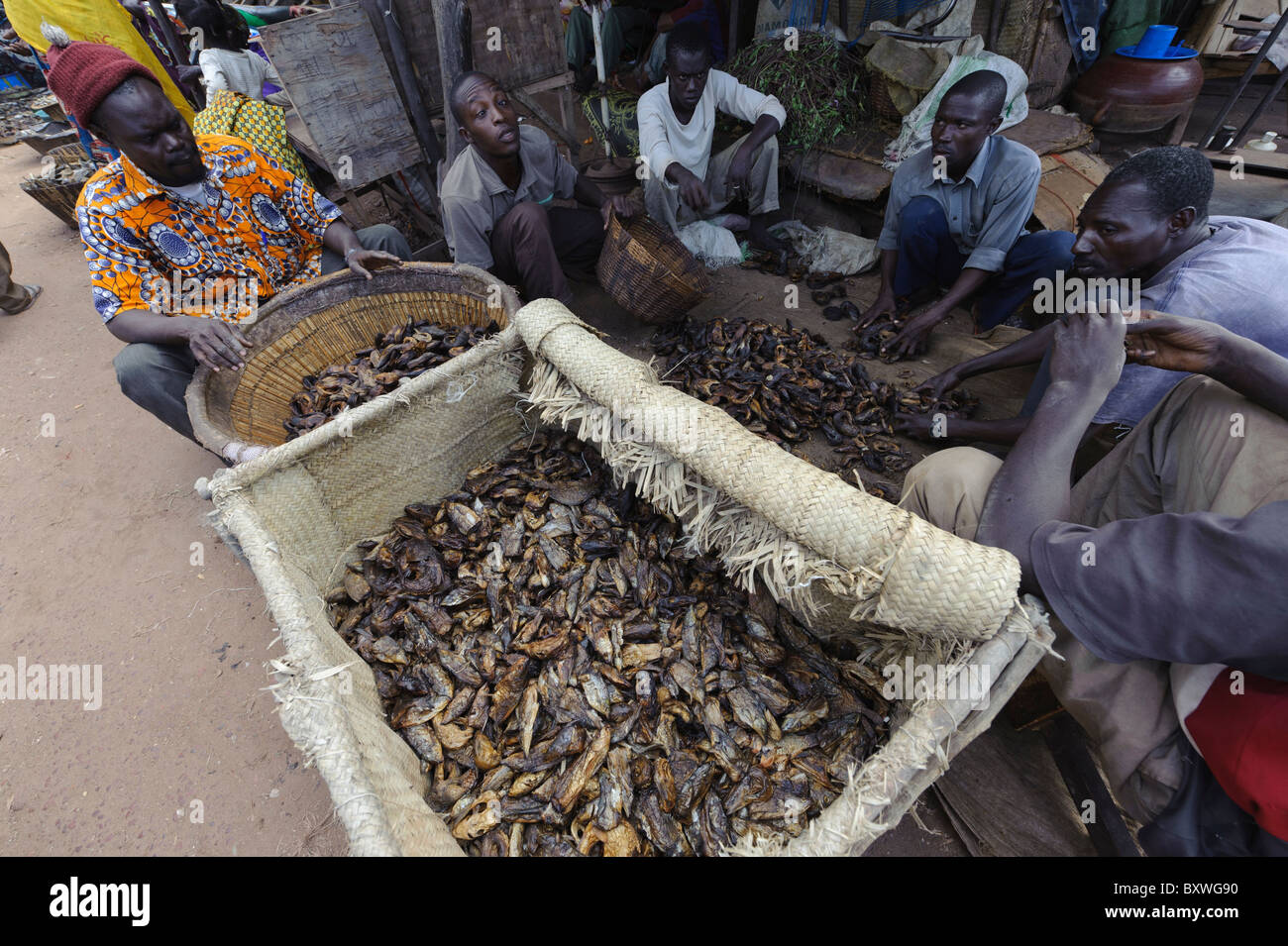 Handel mit getrocknetem Fisch in den Hafen von Mopti in Mali Stockfoto