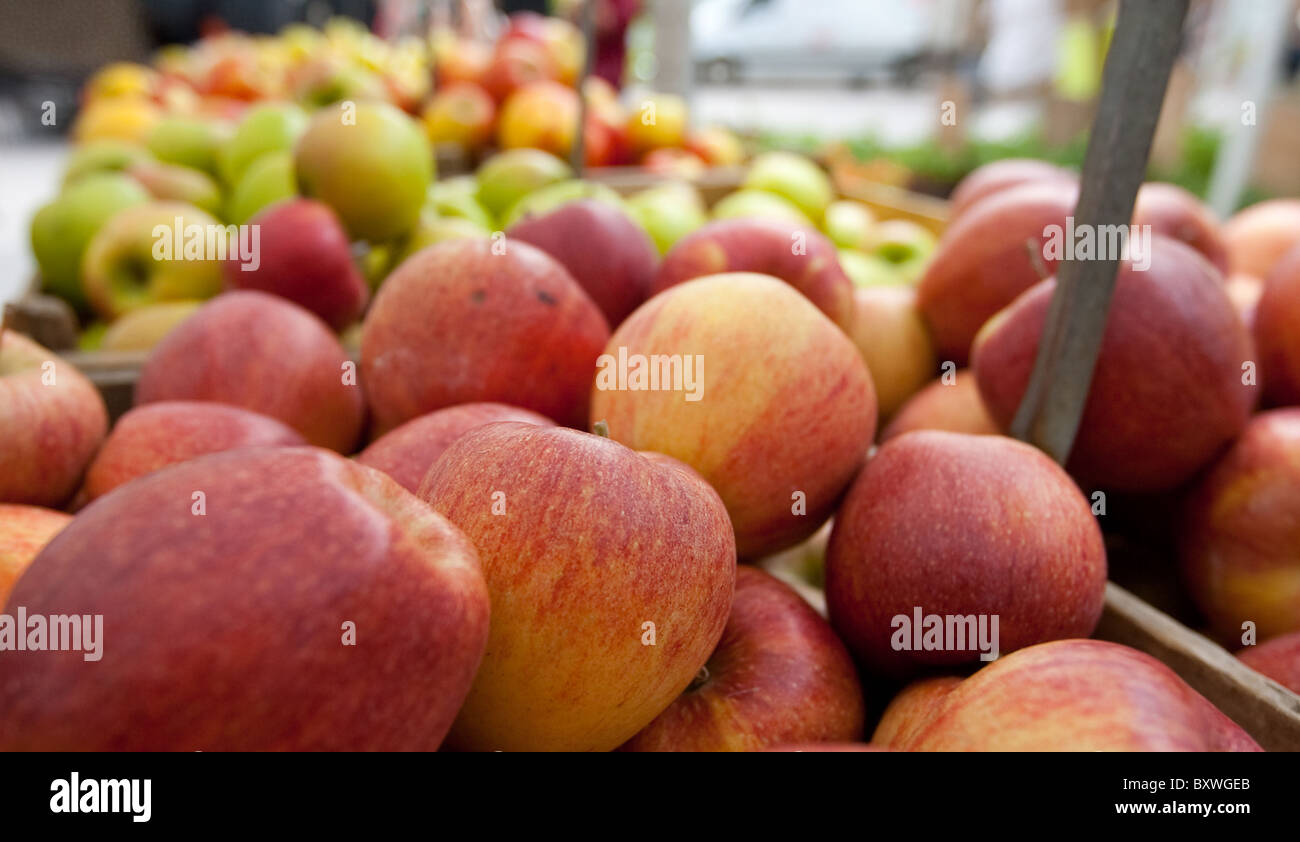 Eine Kiste der Gala Äpfel auf dem Union Square-Bauernmarkt im Juni 2010. Stockfoto