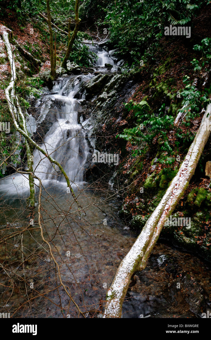 Raureif Eis auf Cover Abdeckung Wasserfall fällt Fluss Stream Woodstock Gärten Inistioge Kilkenny Irland Winterwunderland Stockfoto