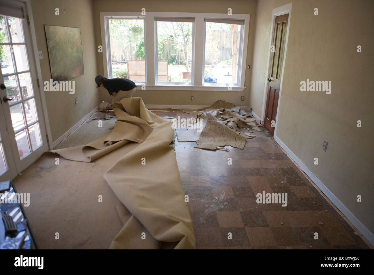 Ein zehnjähriger Junge arbeiten um Teppich Weg Fußbodens in einem Wohnzimmer zu ziehen. Stockfoto
