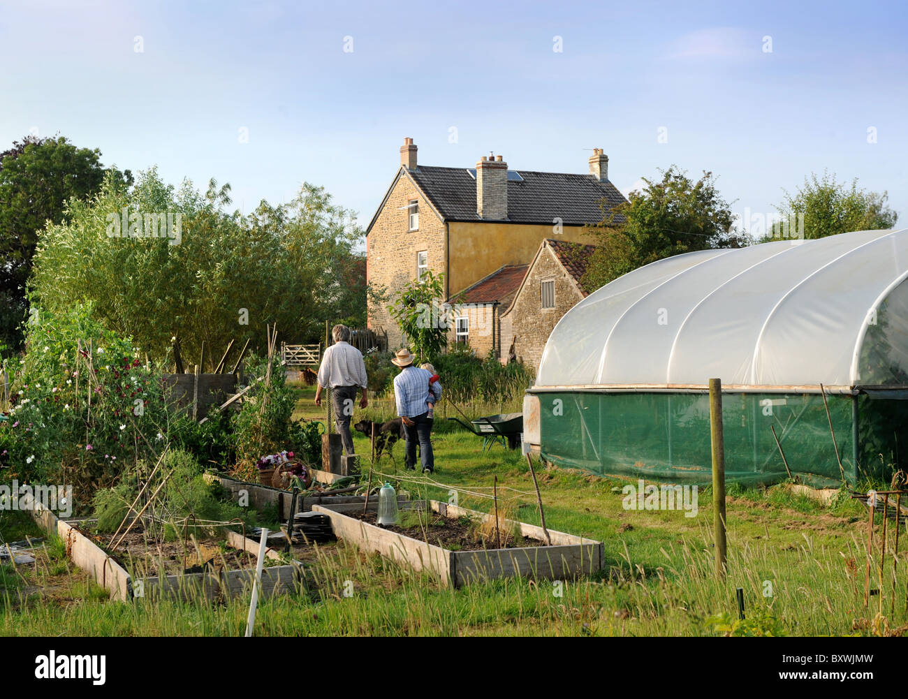 Eine Familie auf ihre Kleinfarm mit einem Folientunnel gemeinsamen Bauernhof Blumen, UK Stockfoto