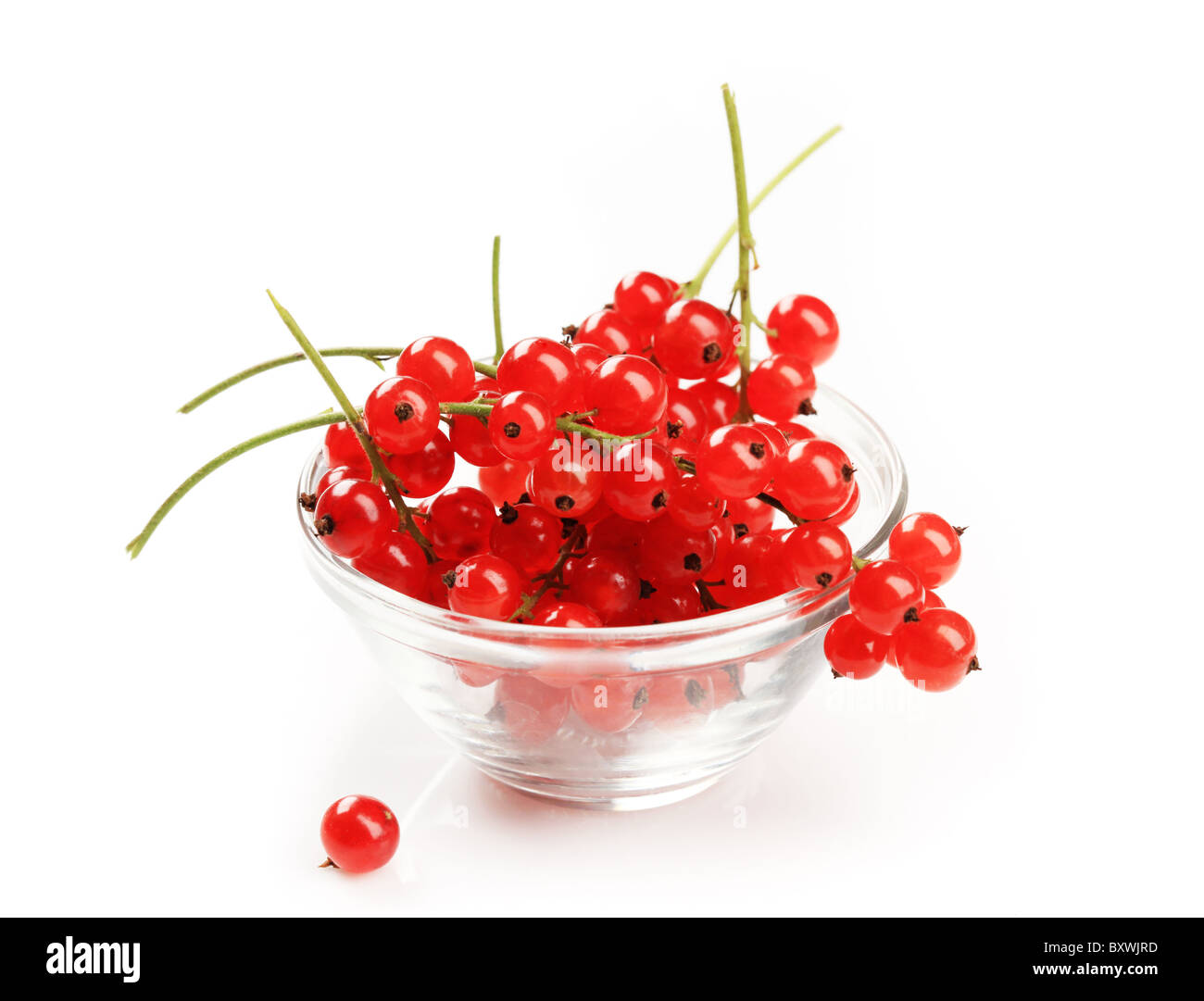 Glasschüssel von frisch gepflückt rote Johannisbeeren Stockfoto