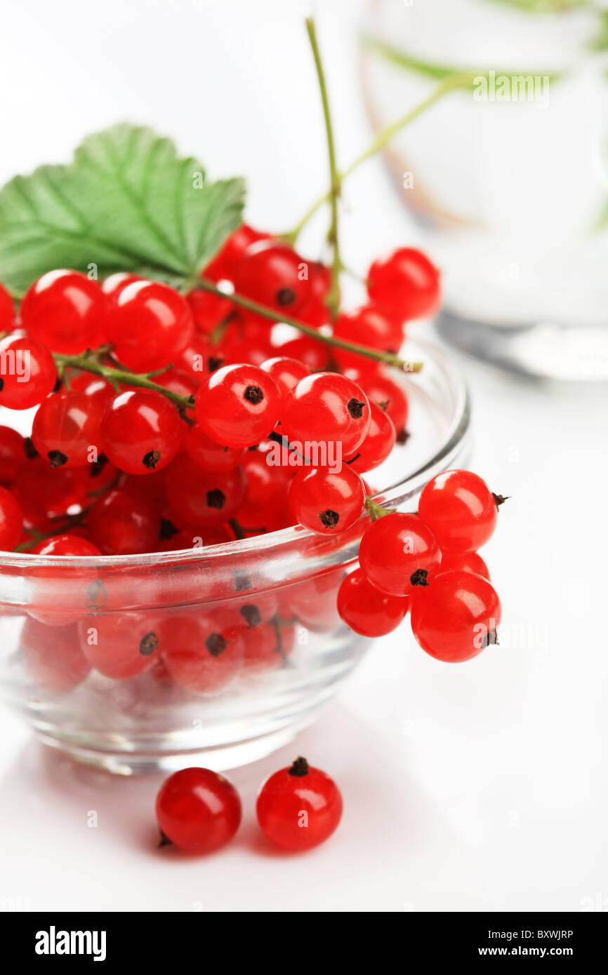 Glasschüssel von frisch gepflückt rote Johannisbeeren Stockfoto