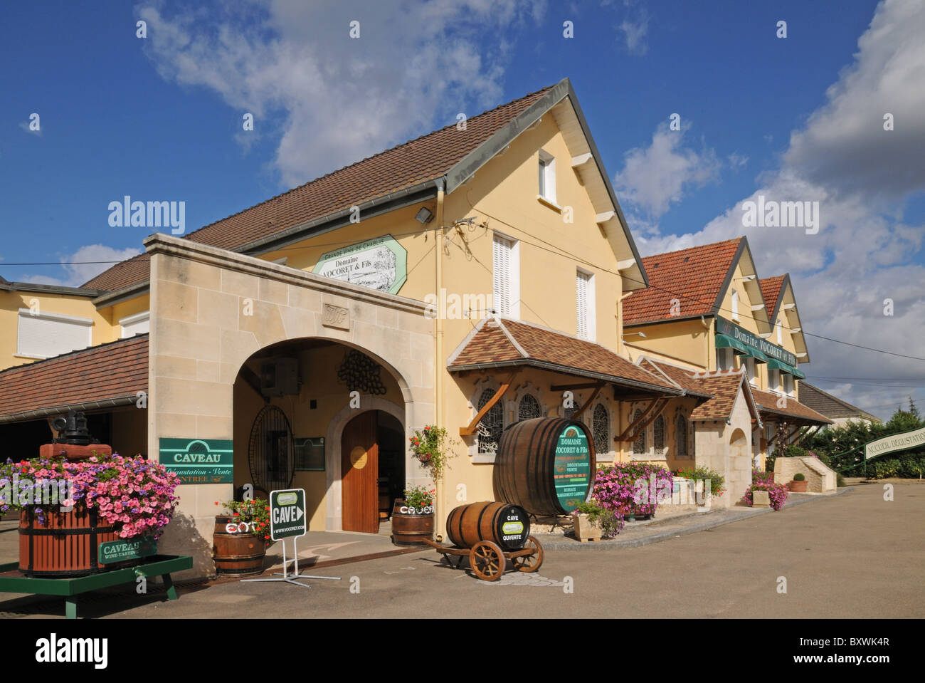 Vinothek Shop Keller oder Höhle Weinverkauf in Chablis Burgund Frankreich bietet Wein und Weinprobe Stockfoto