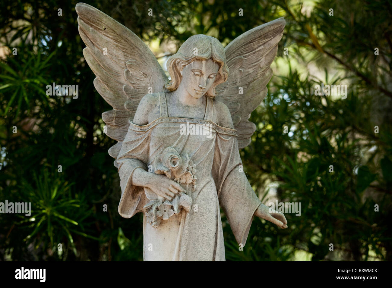 USA, Georgia, Savannah, Friedhof Statue des Engels im schattigen Hain im Inneren Bonaventure Friedhof am Sommermorgen Stockfoto