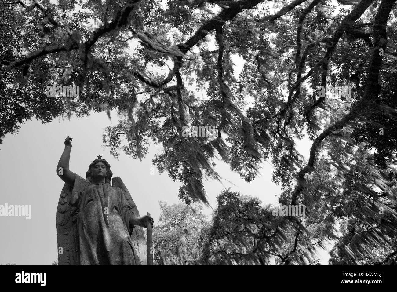 USA, Georgia, Savannah, Friedhof Statue des Engels im schattigen Hain im Inneren Bonaventure Friedhof am Sommermorgen Stockfoto