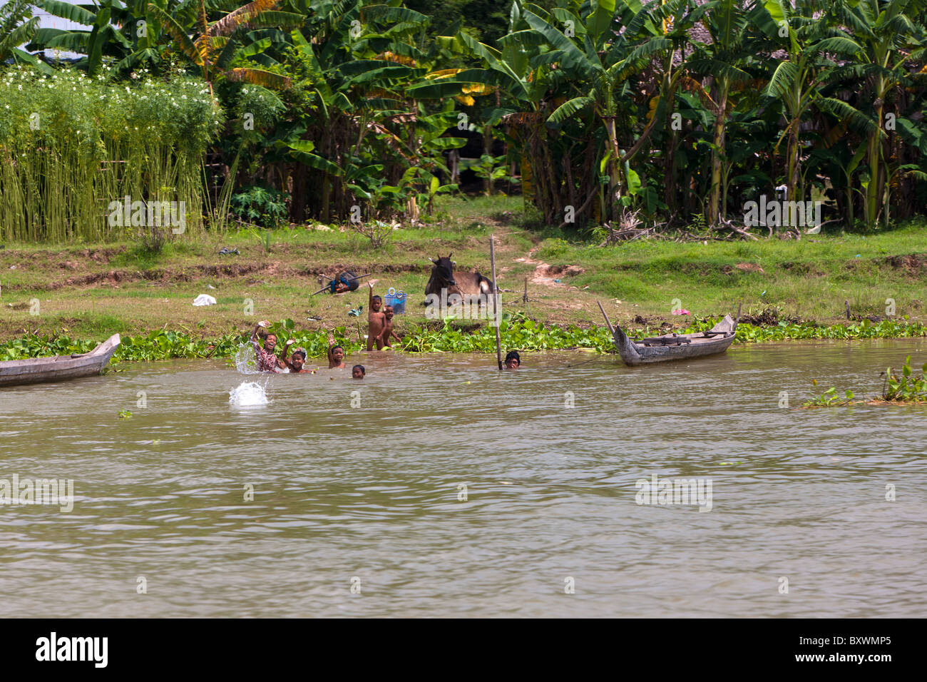 Kinder in Tonle Sap Fluss, Kambodscha, Asien Stockfoto