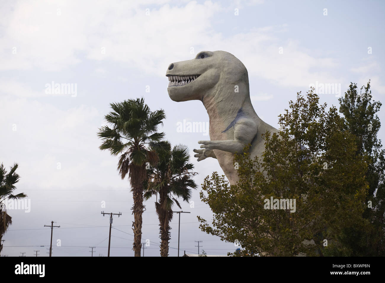 Gigantische konkrete Tyrannosaurus-Statue in Südkalifornien Stockfoto