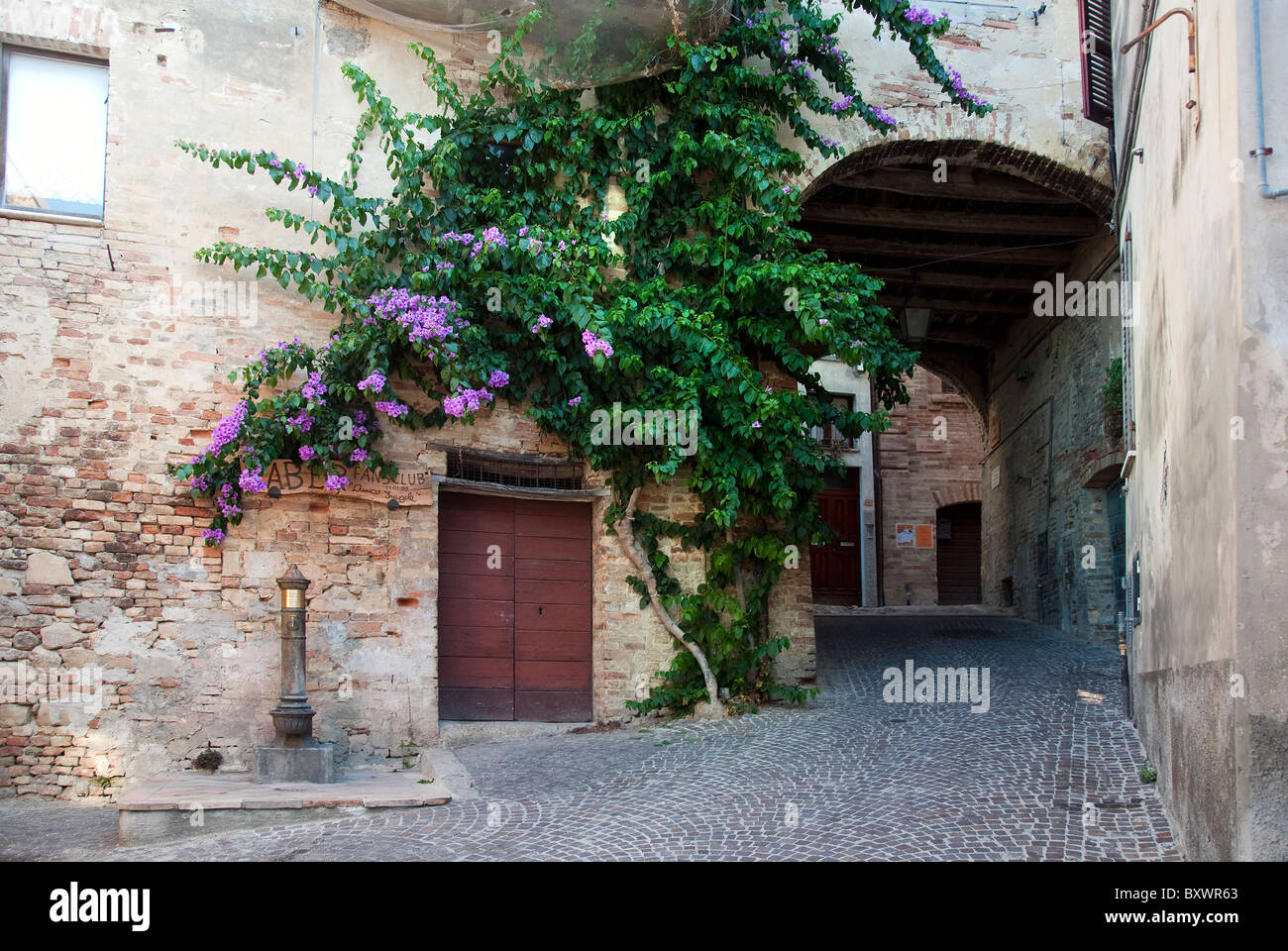 Altstadt von Acquaviva Picena, Le Marche, Italien Stockfoto