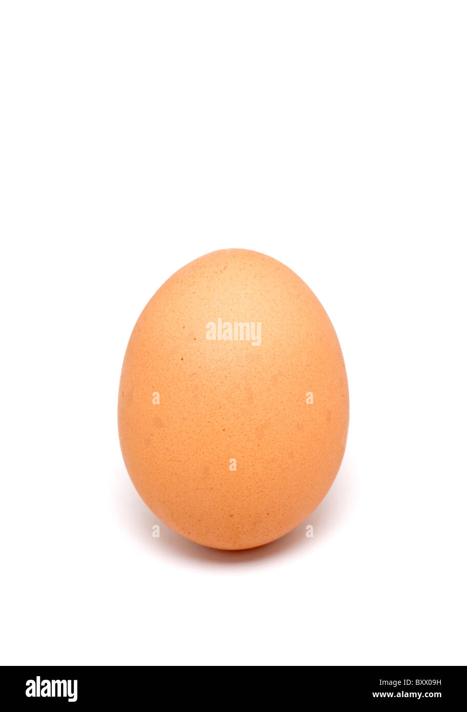 Einziges Ei auf weißem Hintergrund Stockfoto