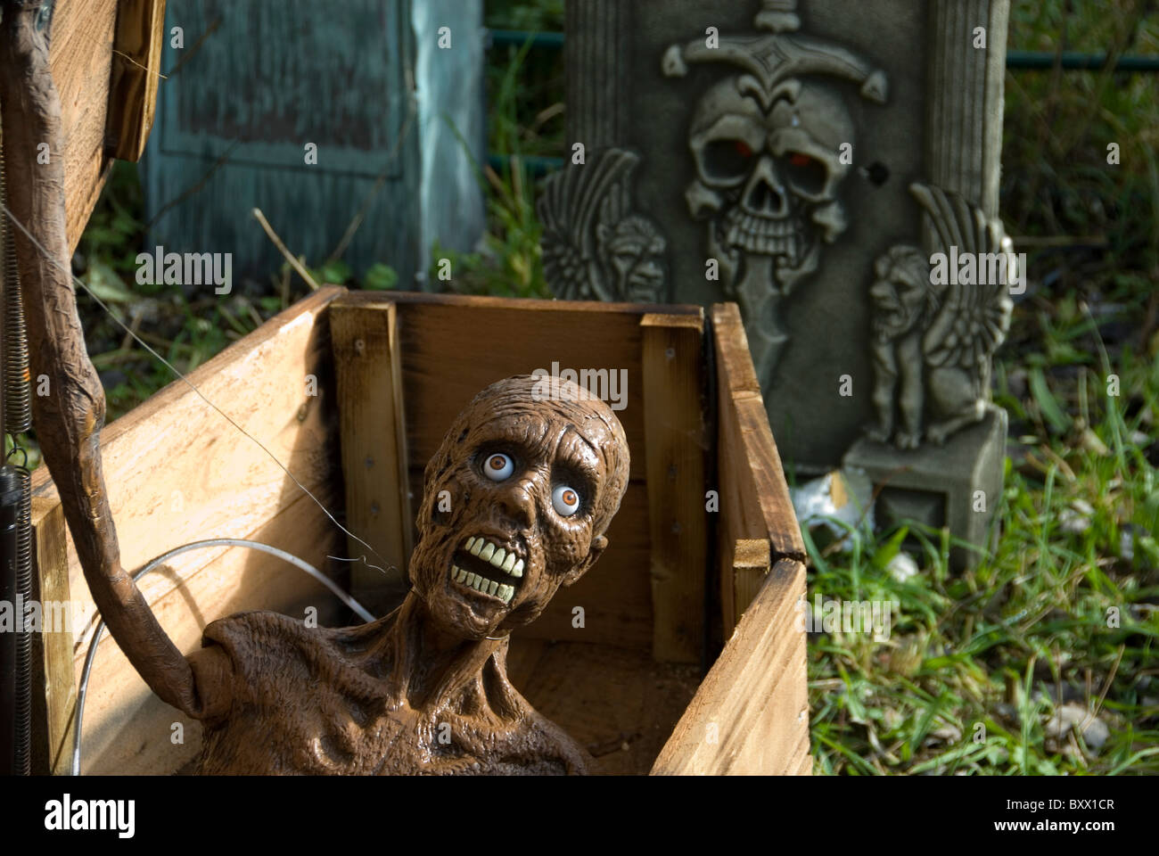 Hautnah auf gruselige Gesicht von Leben Toten Mann Eröffnung Sarg, Halloweendekoration Stockfoto