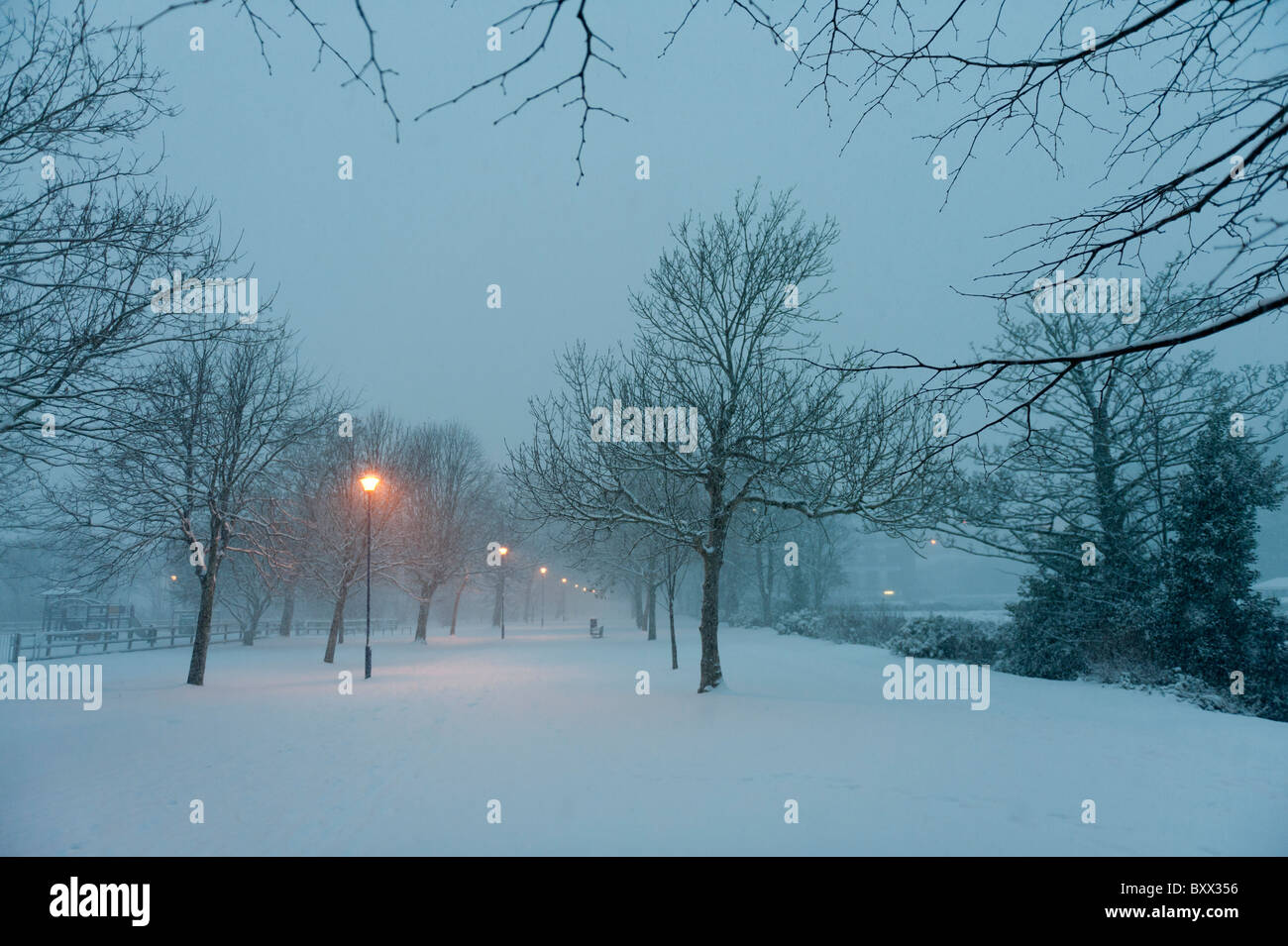 Einer von Bäumen gesäumten Allee, Aberystwyth Wales UK im Schnee, Dezember 2010 Stockfoto